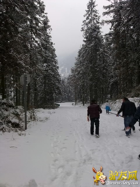龙池雪景.jpg