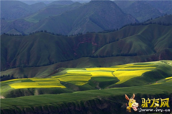 卓尔山3.jpg